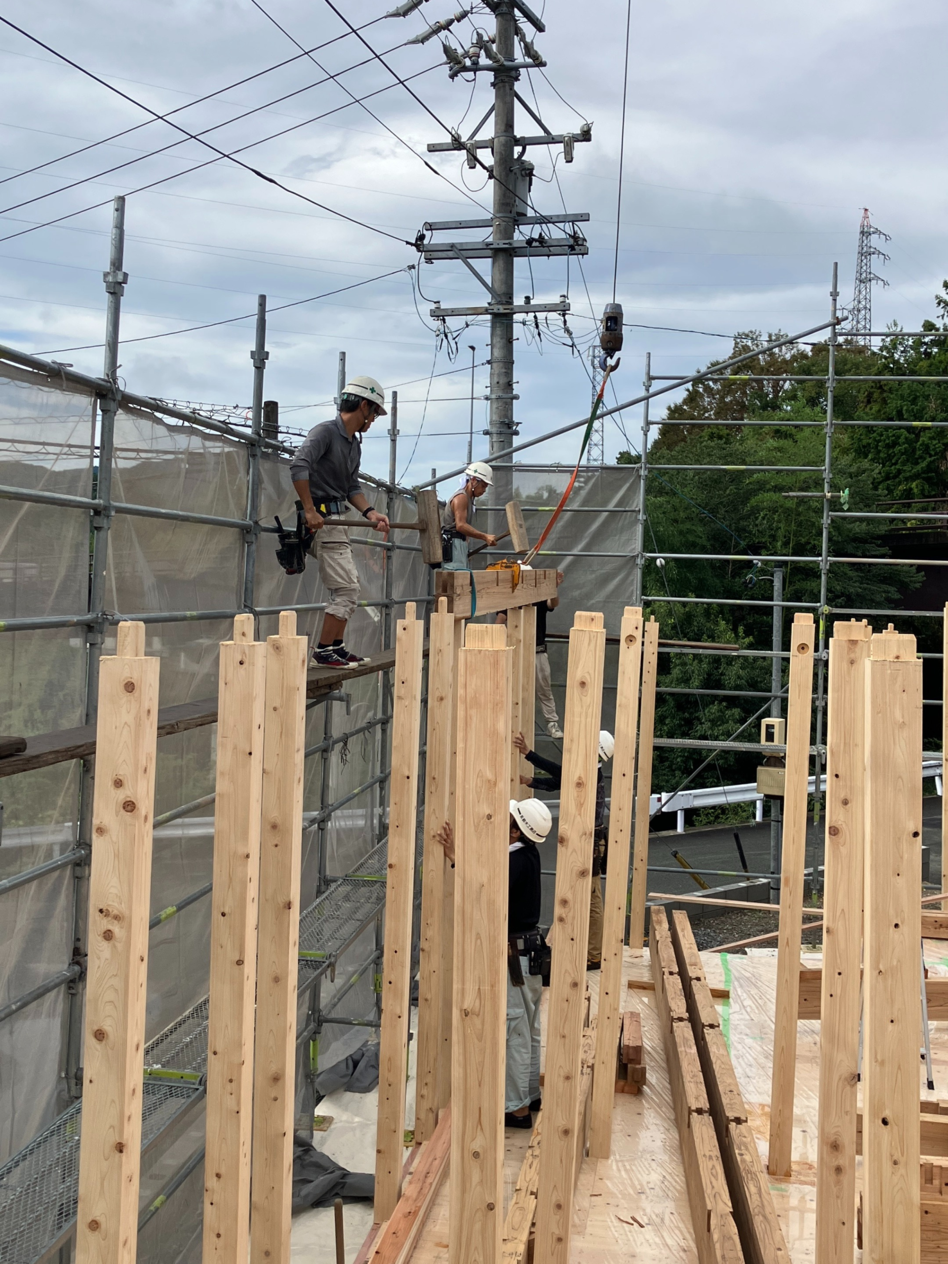 新城市の平屋住宅